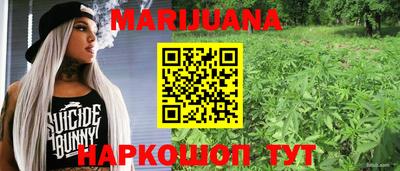 стафф Гусев