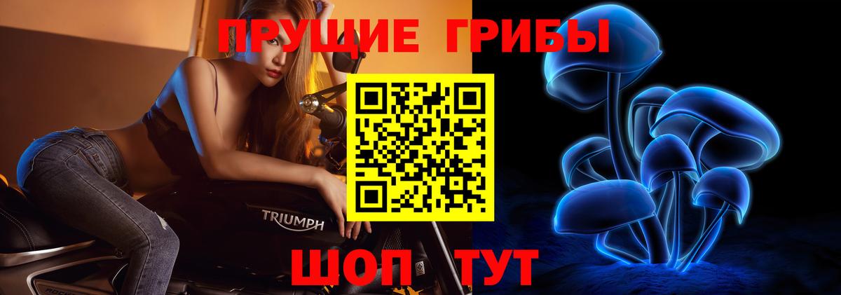Галлюциногенные грибы мицелий Клинцы